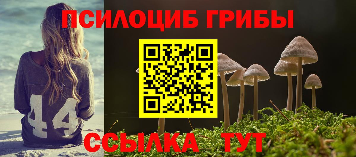 Кизляр  Псилоцибиновые грибы Magic Shrooms  Галлюциногенные грибы мицелий  Вход с VPN 