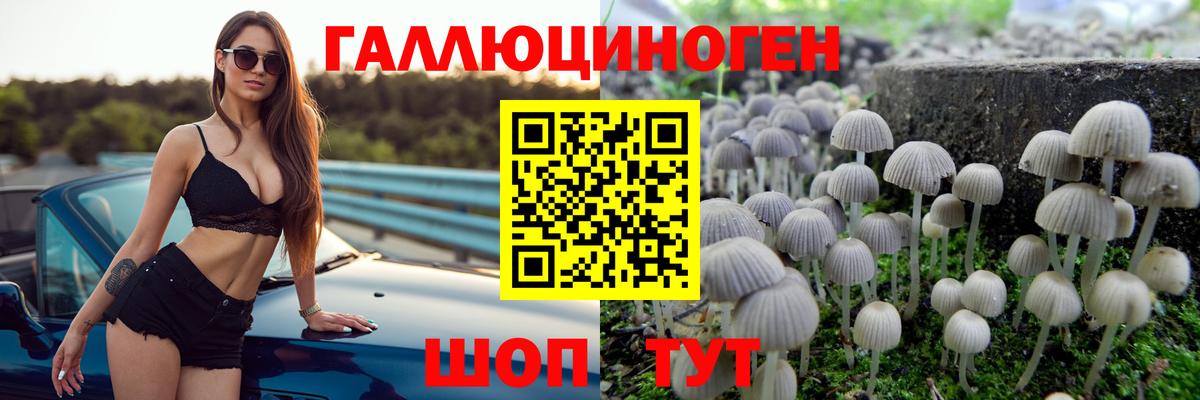 Галлюциногенные грибы Magic Shrooms Кизляр